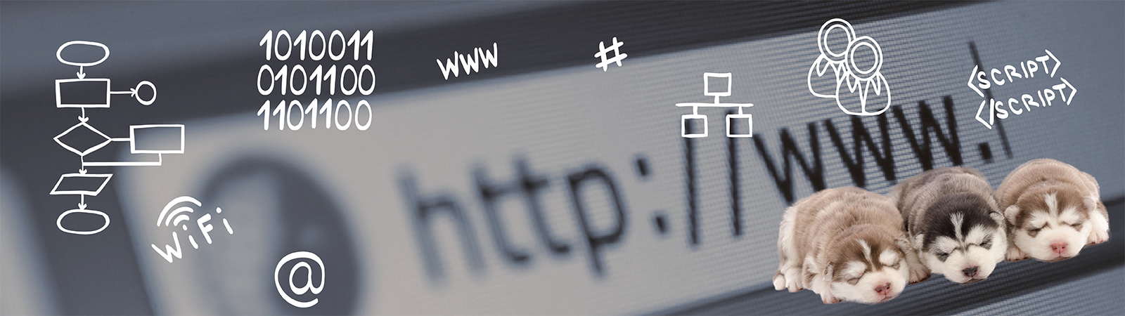 Website Design